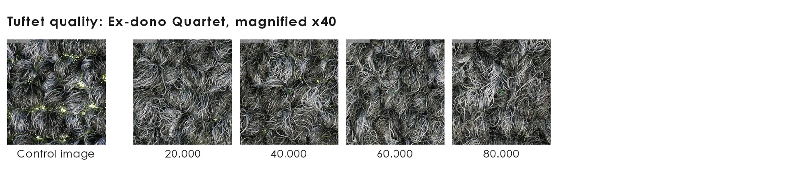 Slidtest Ex-dono Quartet